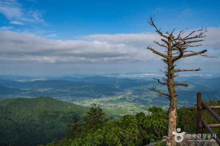향적봉(덕유산) 여행 추천 - 메고지고