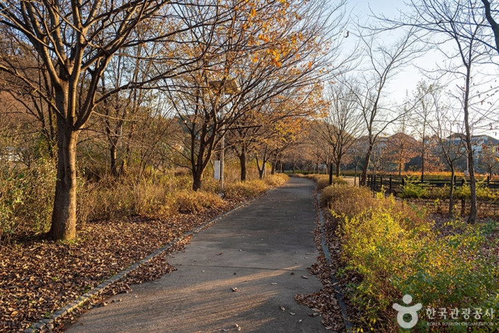 수풀로 삼회리 여행 추천 - 메고지고