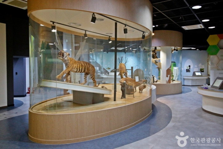 만인산푸른학습원 여행 추천 - 메고지고