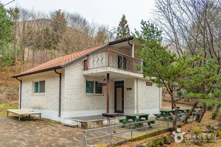 무등산편백자연휴양림 여행 추천 - 메고지고