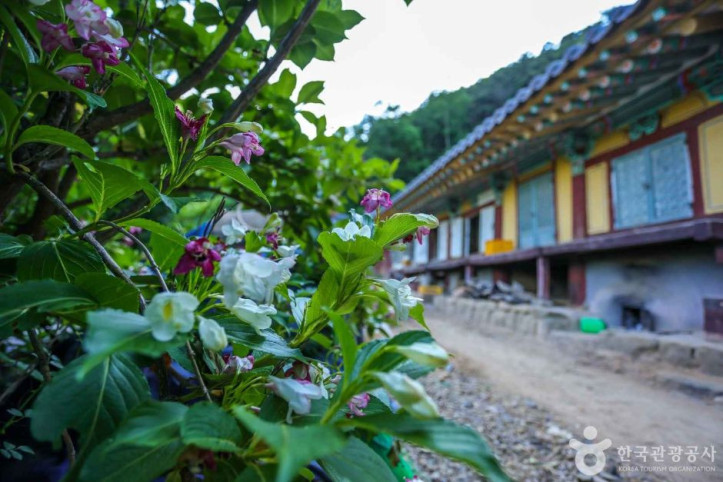 압곡사(군위) 여행 추천 - 메고지고