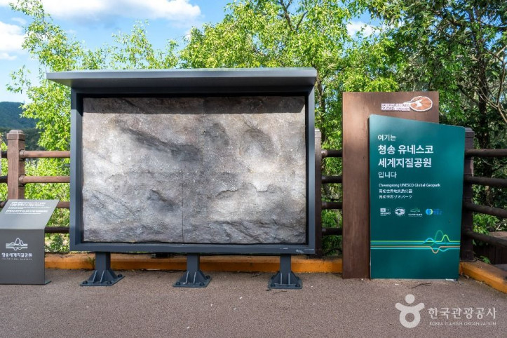 신성리 공룡발자국 여행 추천 - 메고지고