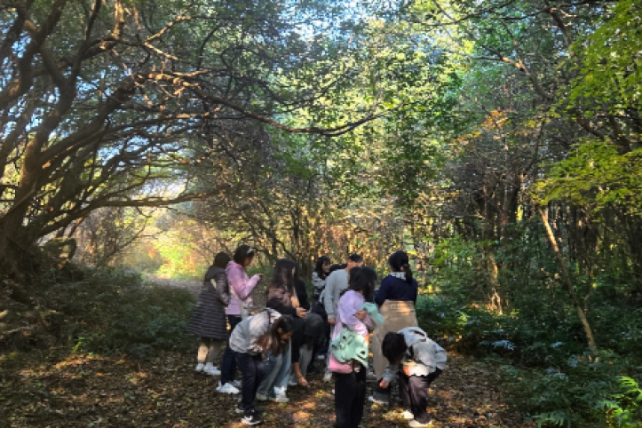 청수곶자왈 여행 추천 - 메고지고