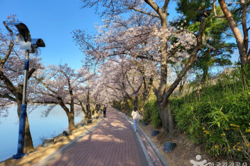 일성 경주보문콘도&리조트 여행 추천 - 메고지고
