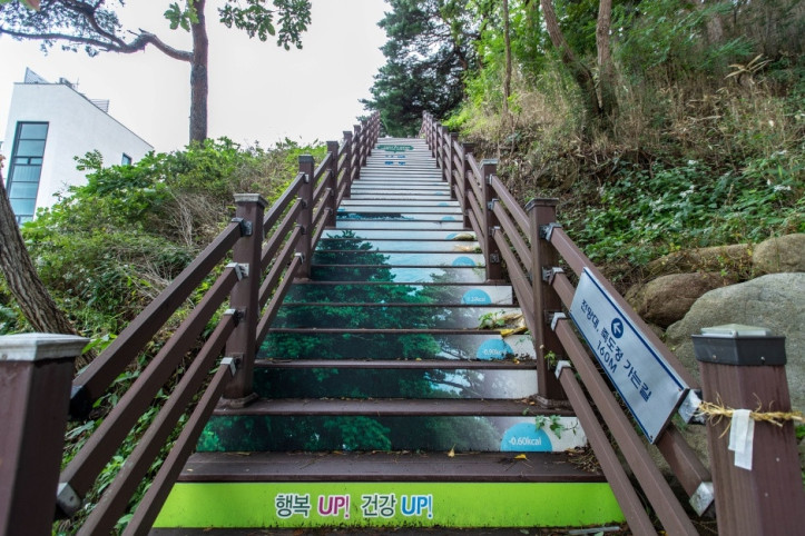 죽도정·죽도 전망대 여행 추천 - 메고지고