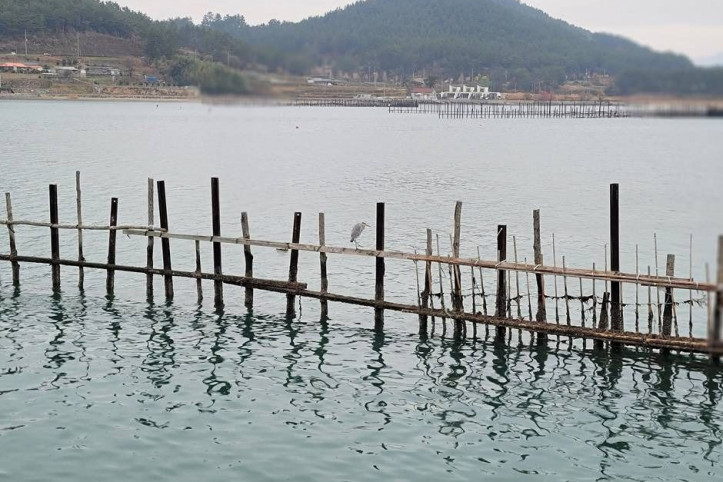 창선교와 원시어업 죽방렴 여행 추천 - 메고지고