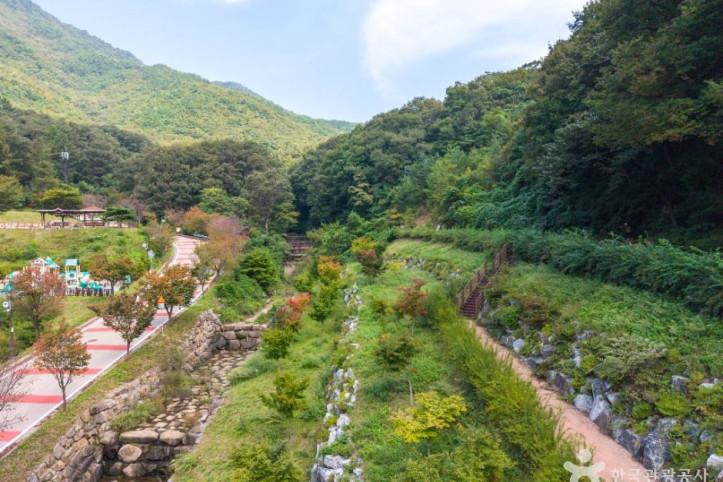 팔공산금화자연휴양림 여행 추천 - 메고지고