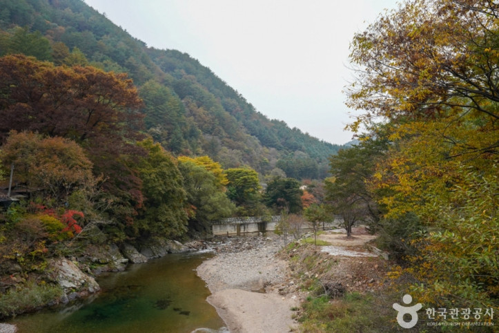 고선계곡(구마계곡) 여행 추천 - 메고지고