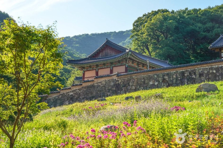 용문사(예천) 여행 추천 - 메고지고