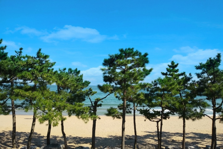 진하해수욕장 여행 추천 - 메고지고