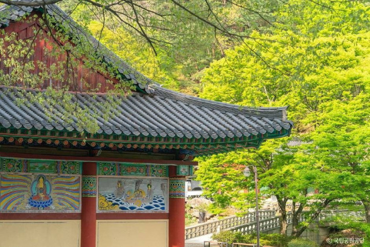 파계사 여행 추천 - 메고지고
