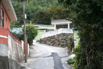 화개야생차밭 여행 추천 - 메고지고