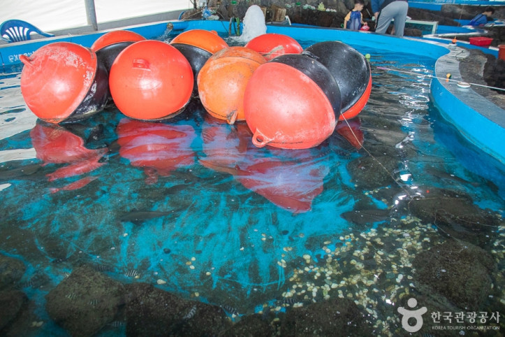 제주바다체험장 여행 추천 - 메고지고