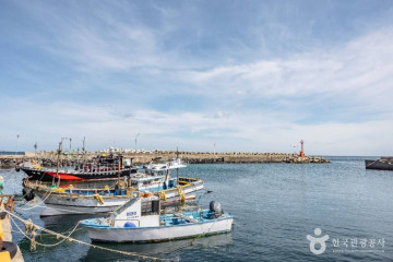 월영사(제주) 여행 추천 - 메고지고