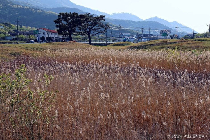 고성 내산리 고분군 여행 추천 - 메고지고