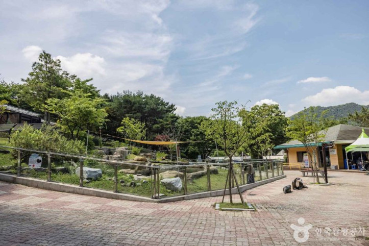 청주동물원 여행 추천 - 메고지고