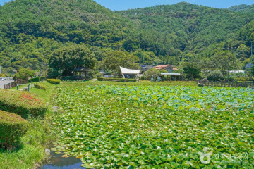 문수암(고성) 여행 추천 - 메고지고