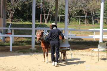 고령 장기리 암각화 여행 추천 - 메고지고