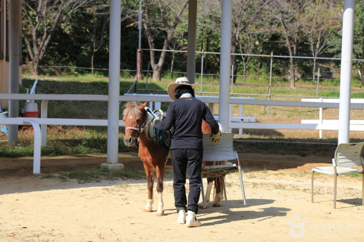 대가야기마문화체험장 여행 추천 - 메고지고