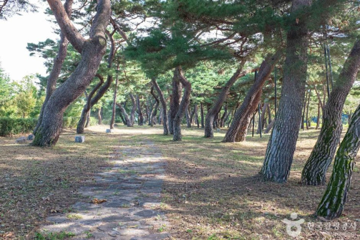 백운정 여행 추천 - 메고지고