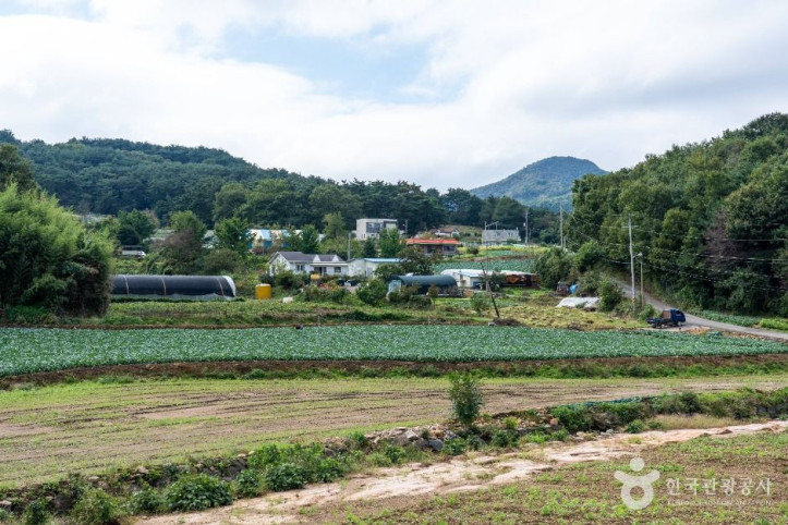 서산 꽃송아리마을 여행 추천 - 메고지고