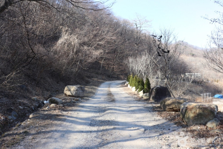 경주 왕의 길 여행 추천 - 메고지고