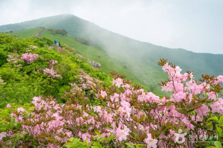 소백산국립공원(북부) 여행 추천 - 메고지고