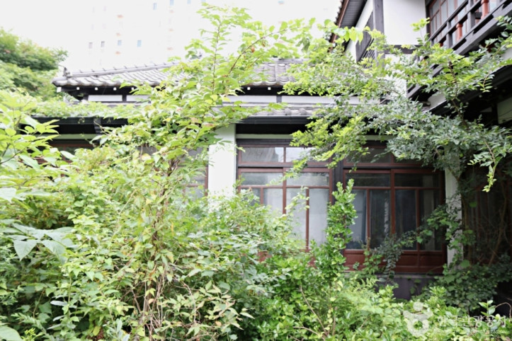 군산 부윤관사 여행 추천 - 메고지고