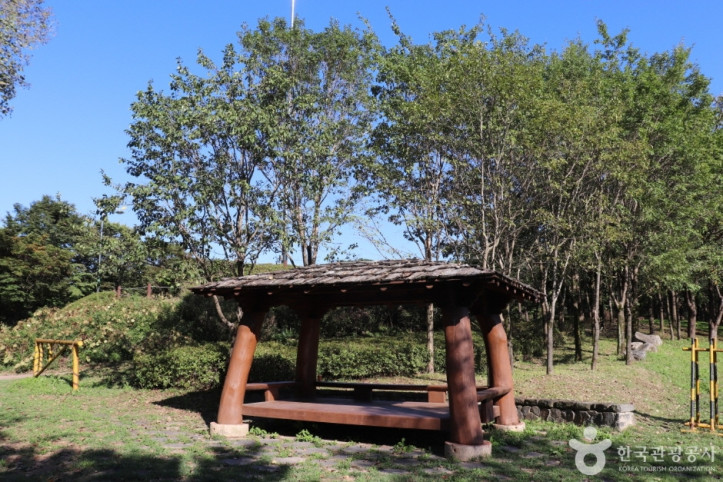 왕버드나무군락지 여행 추천 - 메고지고
