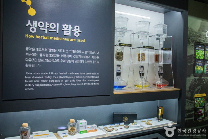 생약누리 여행 추천 - 메고지고