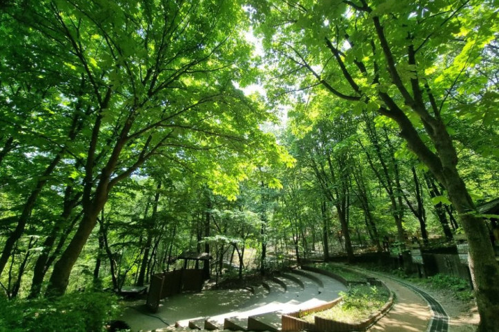 [서울둘레길 9코스] 대모·구룡산코스 여행 추천 - 메고지고