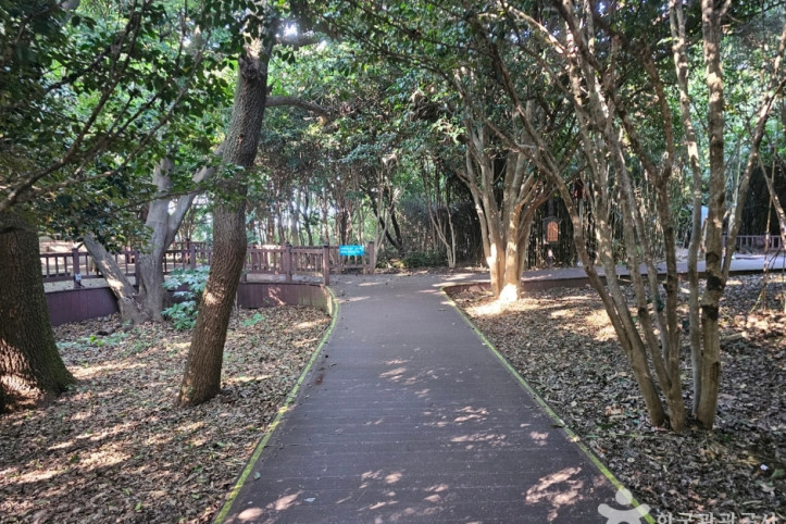 오동도 등대 여행 추천 - 메고지고