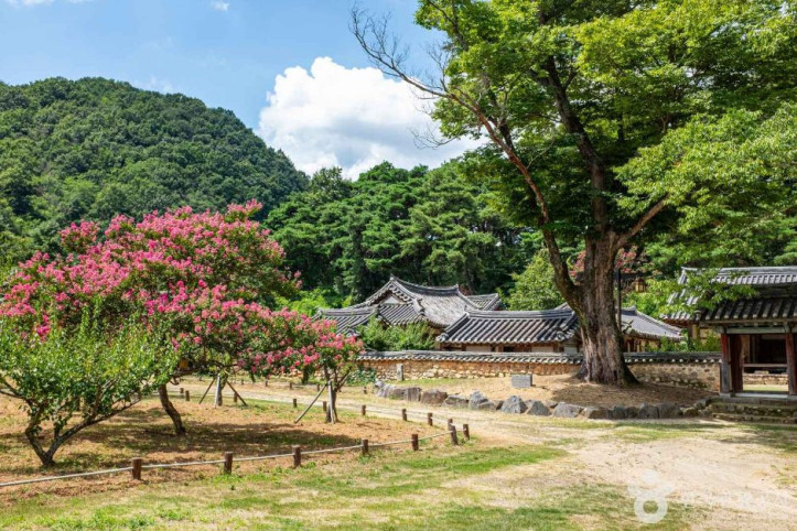 회연서원 여행 추천 - 메고지고