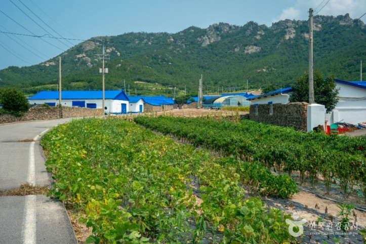 비금도 내촌마을 옛 담장 여행 추천 - 메고지고