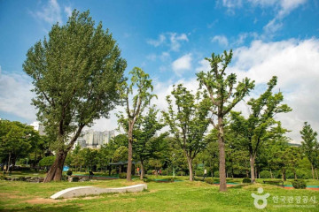 부산동명불원 여행 추천 - 메고지고