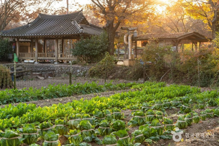 한국민속촌 여행 추천 - 메고지고