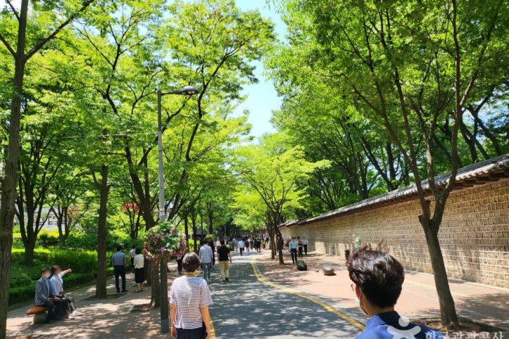 덕수궁 돌담길 여행 추천 - 메고지고