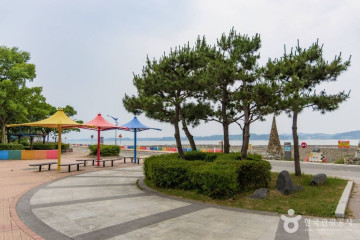 대포어촌체험마을 여행 추천 - 메고지고