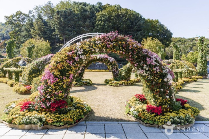 용인농촌테마파크 여행 추천 - 메고지고