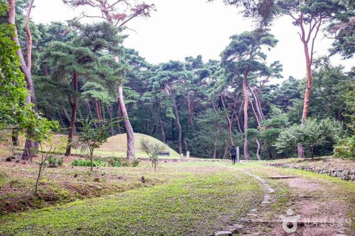 경주 법흥왕릉 여행 추천 - 메고지고