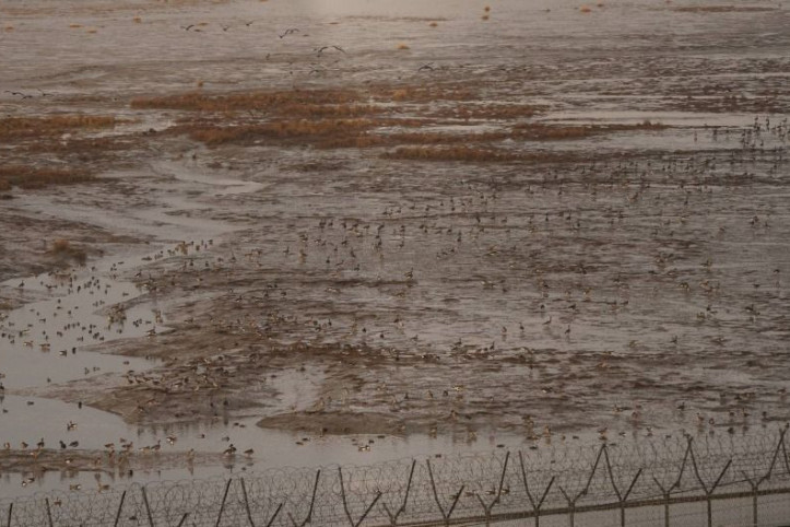 파주 DMZ 생태연구소 여행 추천 - 메고지고