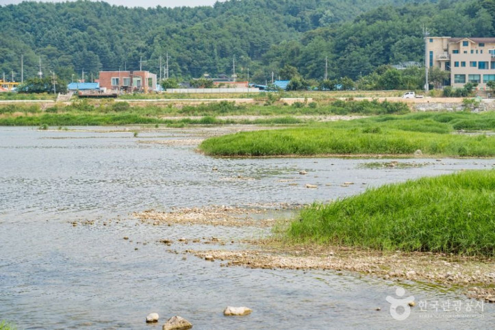 남대천(양양) 여행 추천 - 메고지고