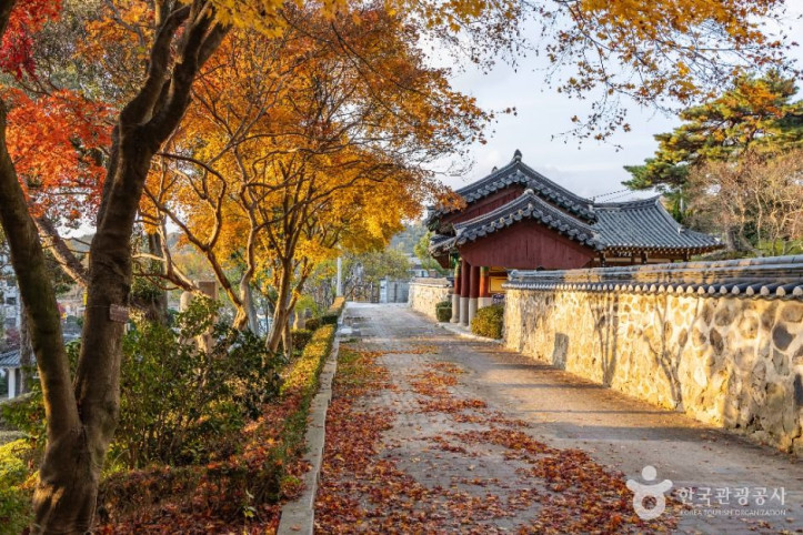 성황산 여행 추천 - 메고지고