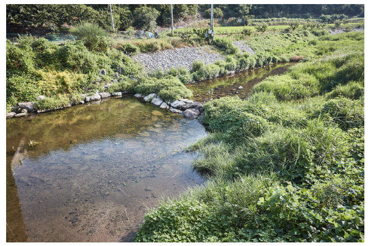 거전마을 여행 추천 - 메고지고