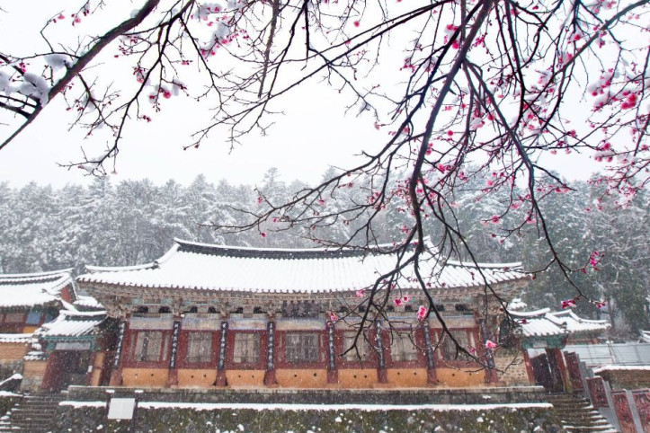 옥천사(고성) 여행 추천 - 메고지고