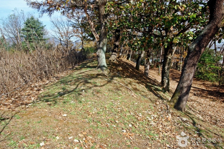 충주 견학리 토성 여행 추천 - 메고지고