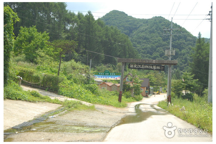 주천강자연휴양림 여행 추천 - 메고지고