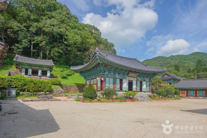태안사 여행 추천 - 메고지고