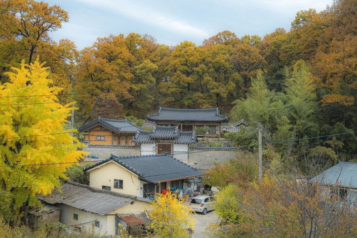 동락서원 여행 추천 - 메고지고