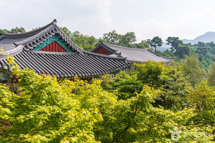 석종사(충주) 여행 추천 - 메고지고